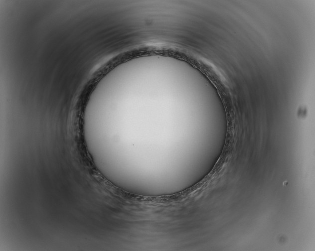 X0000103320776200809050958