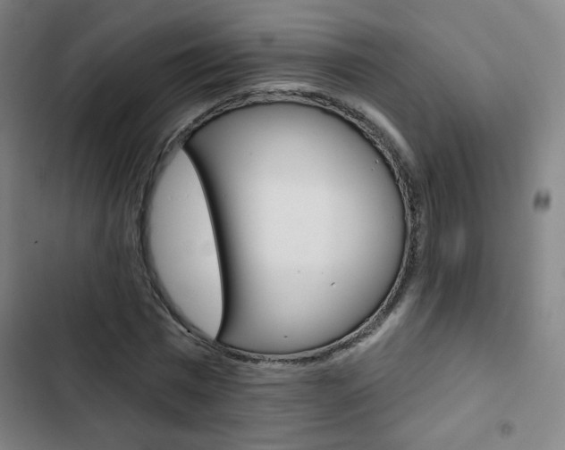 X0000103320777200809050958