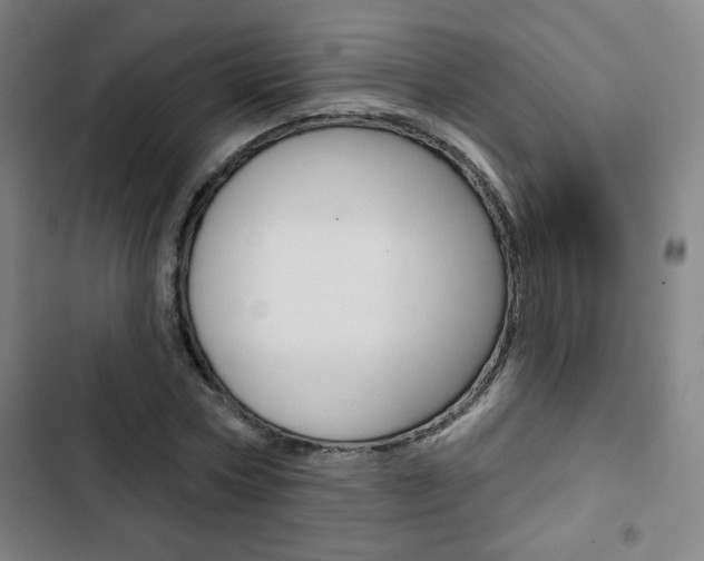 X0000103320778200809050958