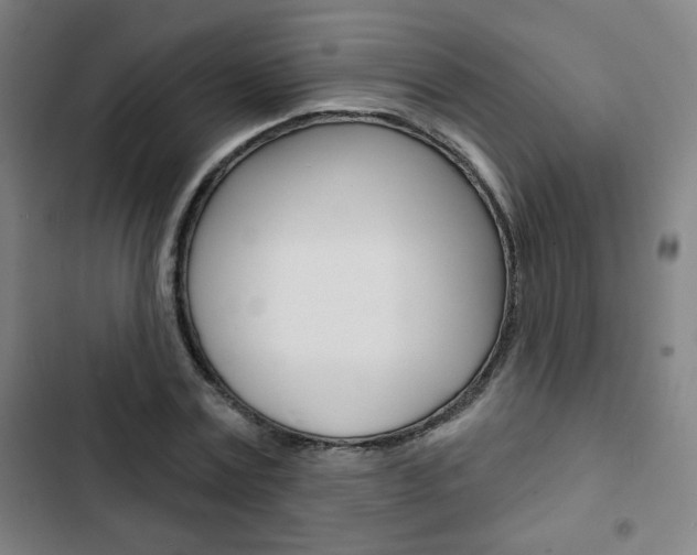X0000103320779200809050958