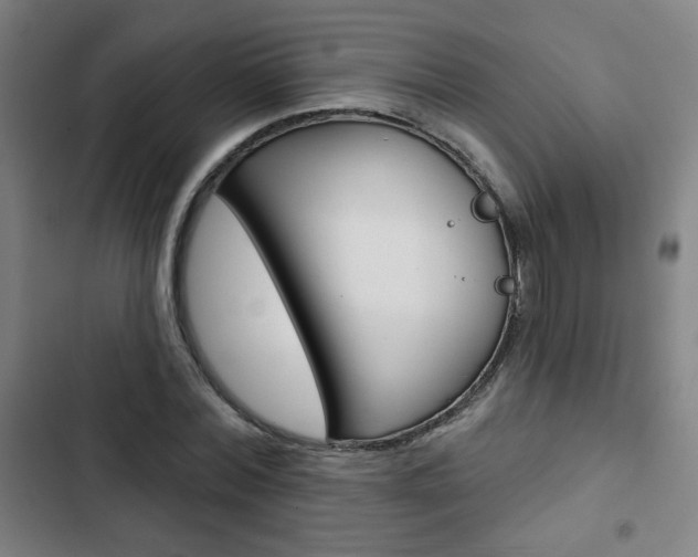 X0000103320780200809050958
