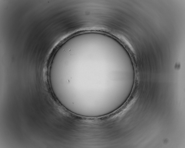 X0000103320781200809050958