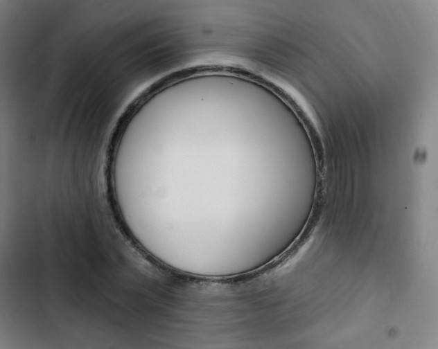 X0000103320783200809050958