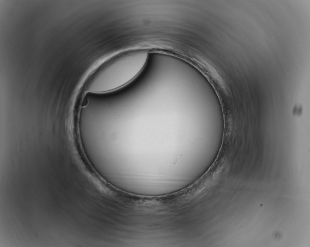 X0000103320784200809050958