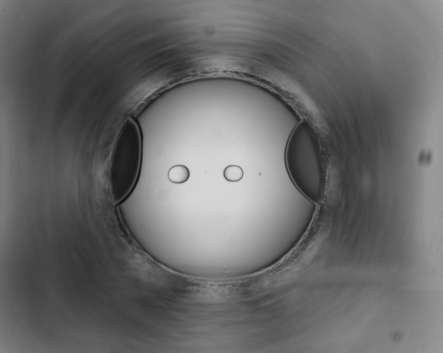 X0000103320785200809050958