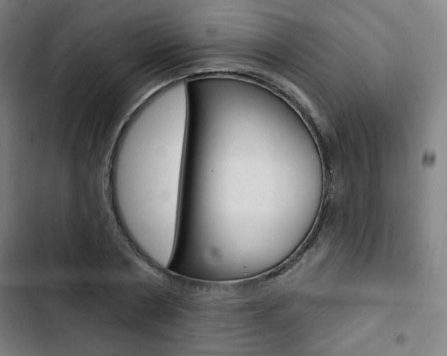 X0000103320786200809050958