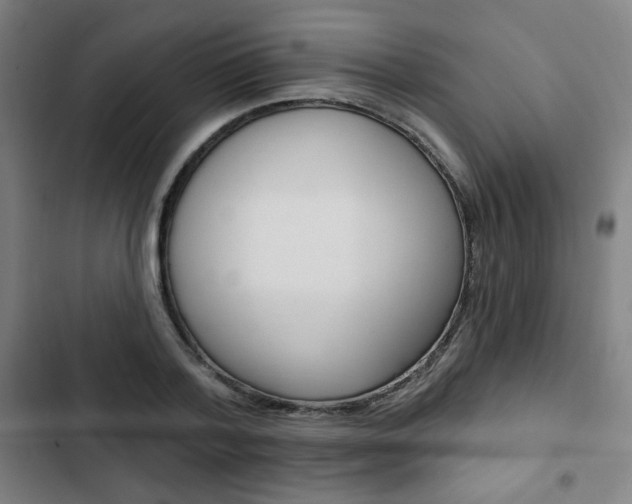 X0000103320788200809050958