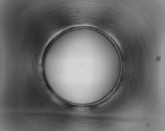 X0000103320789200809050958