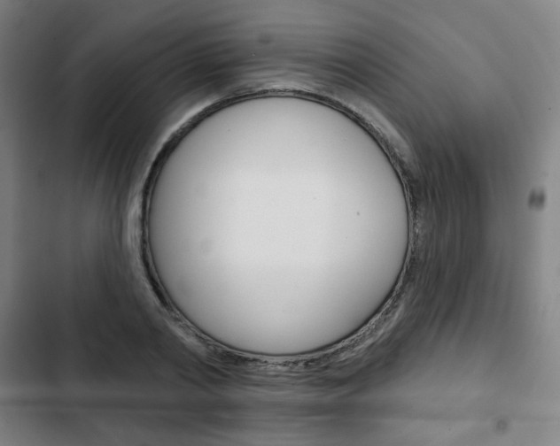 X0000103320790200809050958