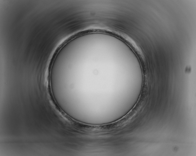 X0000103320791200809050958