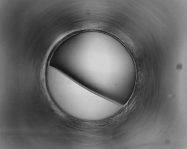X0000103320792200809050958