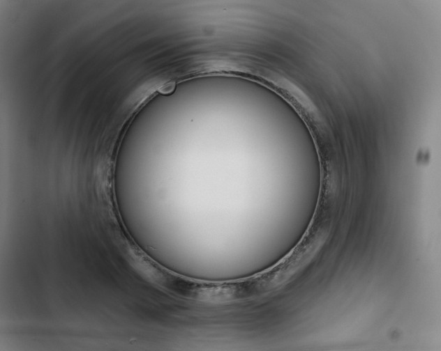 X0000103320793200809050958