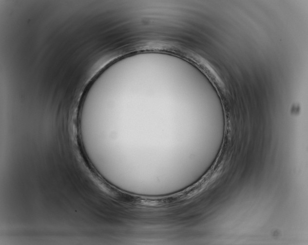 X0000103320794200809050958