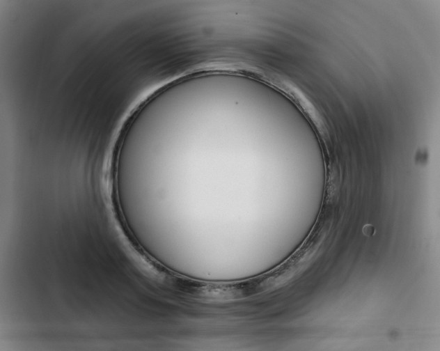X0000103320795200809050958