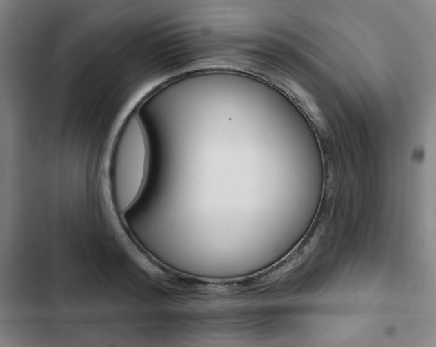 X0000103320796200809050958