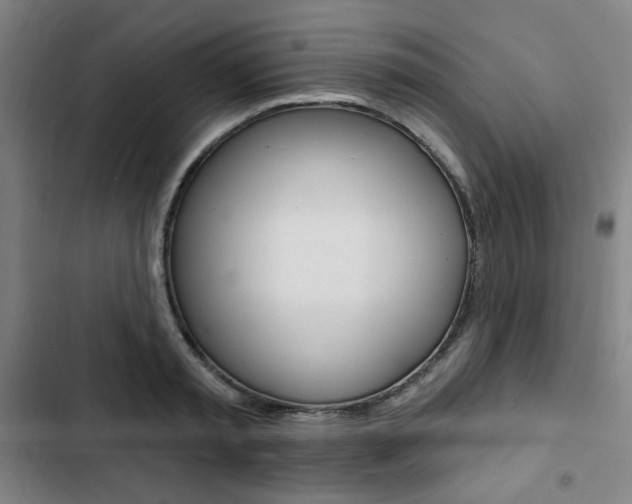 X0000103320797200809050958