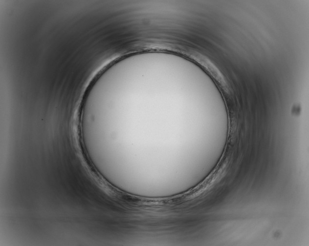 X0000103320798200809050958