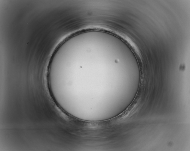 X0000103320799200809050958