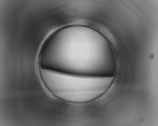 X0000103320800200809050958