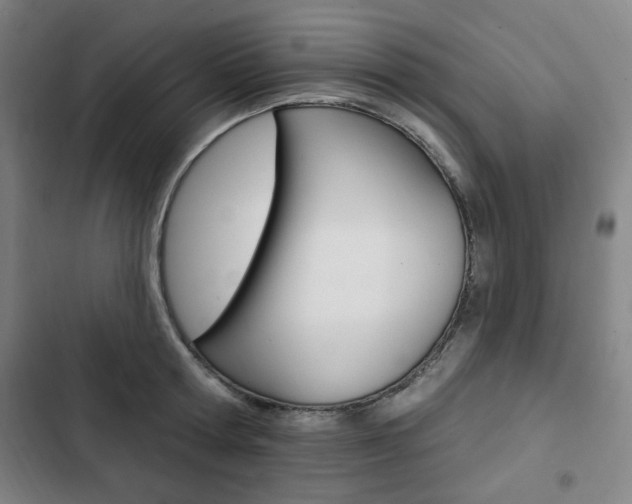 X0000103320802200809050958
