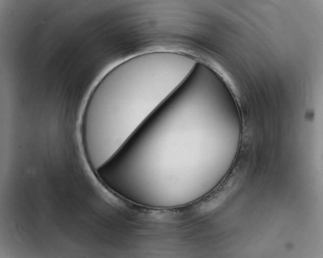 X0000103320803200809050958