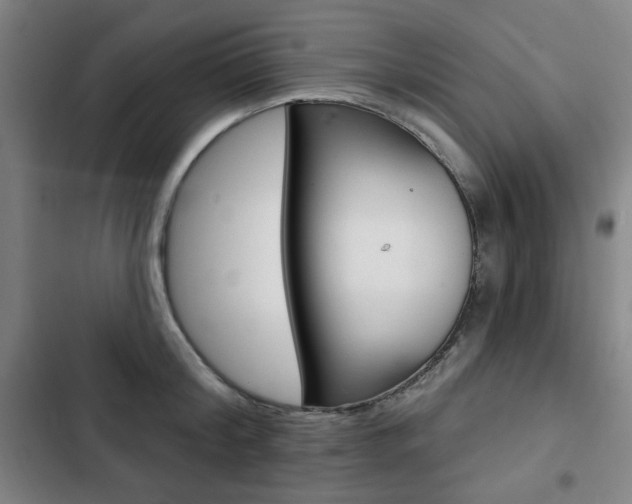 X0000103320804200809050958