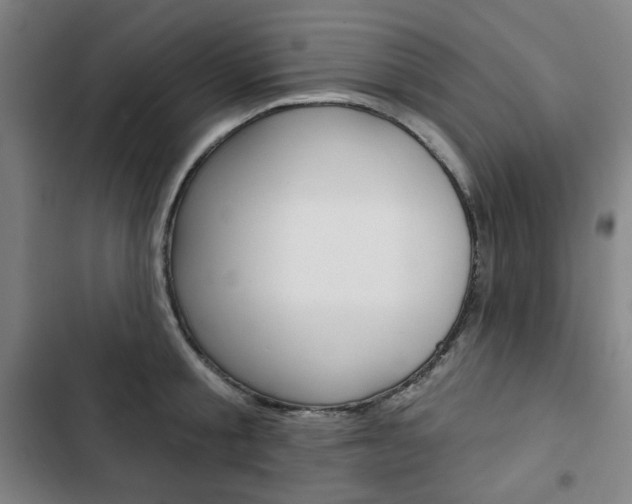 X0000103320805200809050958