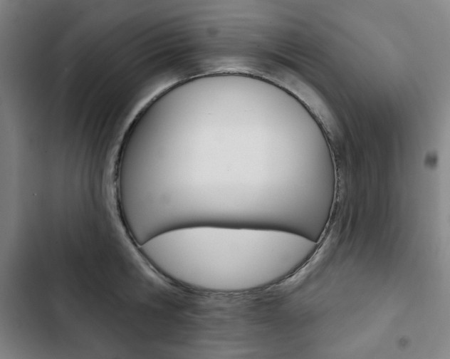 X0000103320806200809050958