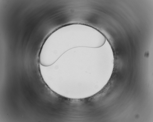 X0000103320807200809050958