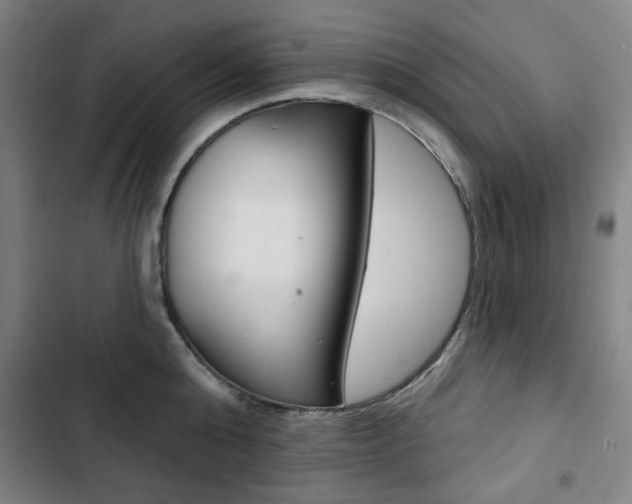 X0000103320808200809050958