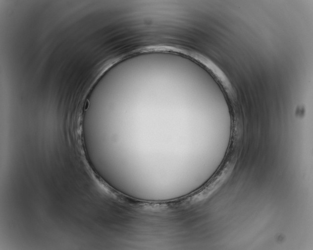 X0000103320809200809050958
