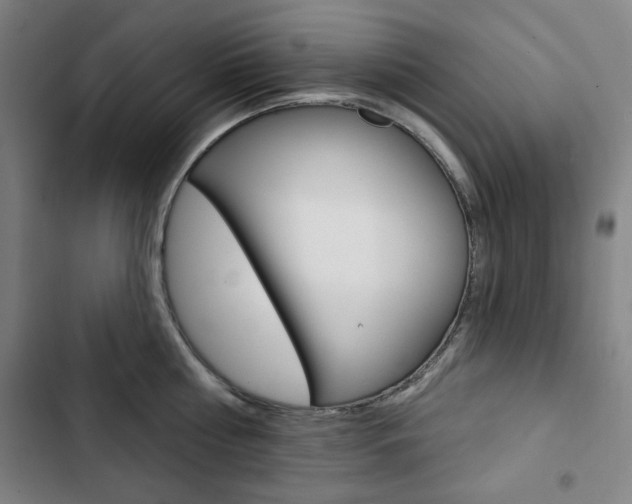 X0000103320810200809050958