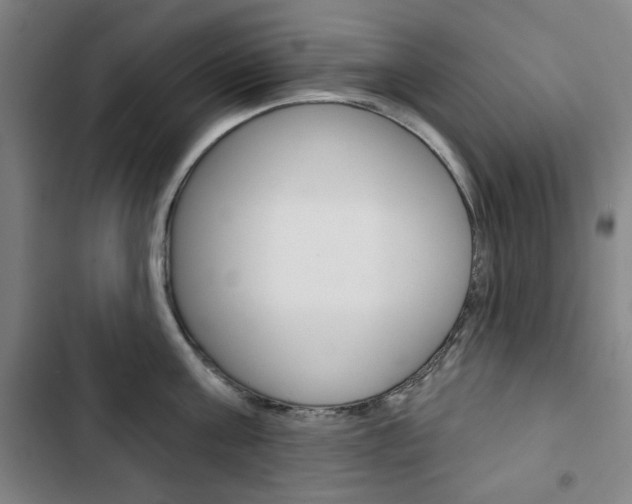 X0000103320811200809050958