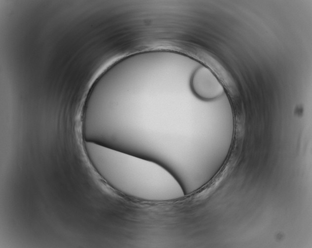 X0000103320814200809050958