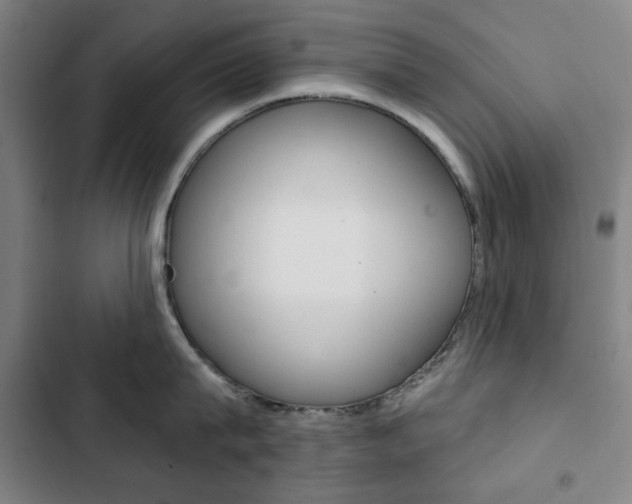 X0000103320815200809050958