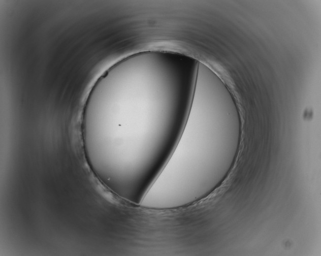 X0000103320816200809050958