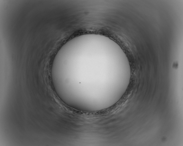 X0000103320817200809050957