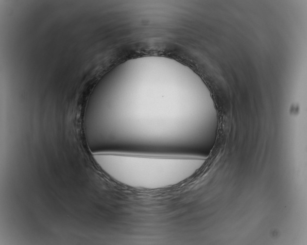 X0000103320818200809050957