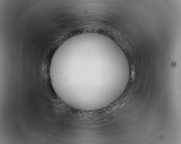 X0000103320819200809050957