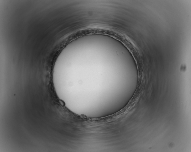 X0000103320821200809050957