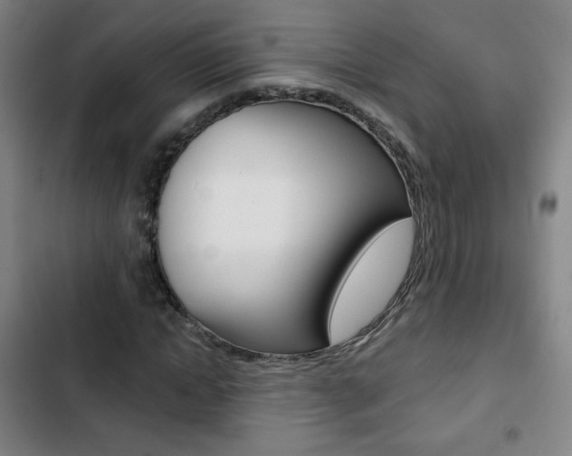 X0000103320822200809050957