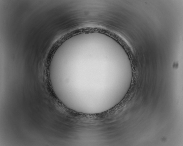 X0000103320823200809050957