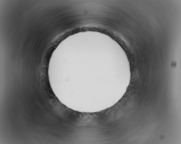 X0000103320824200809050957