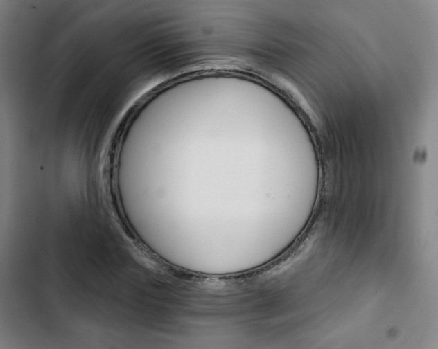 X0000103320827200809050957