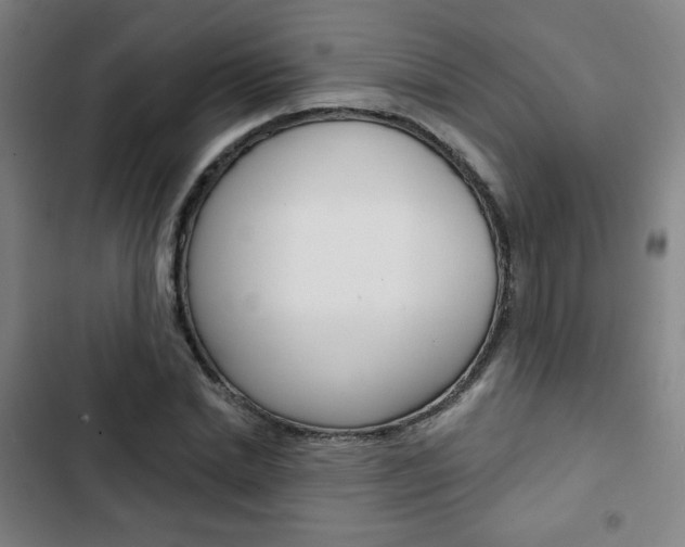 X0000103320830200809050957
