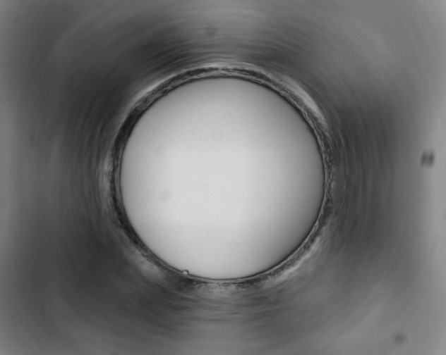 X0000103320831200809050957