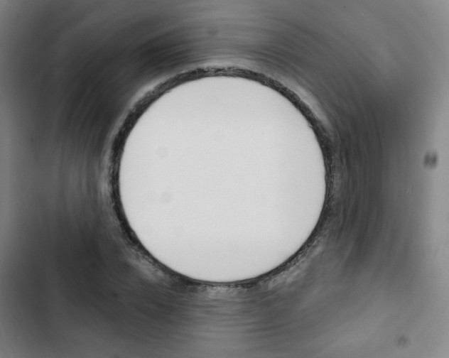 X0000103320832200809050957