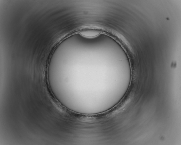 X0000103320833200809050957
