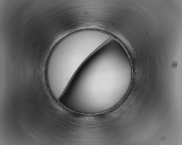 X0000103320834200809050957