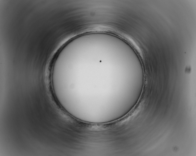 X0000103320835200809050957